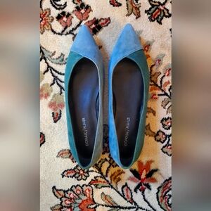 Donald Pliner duochromatic blue pointed flats